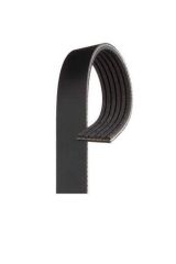 V Kayışı C3 II 16HDI (6PK1020-6PK1018-1987947817-5750.ZQ)